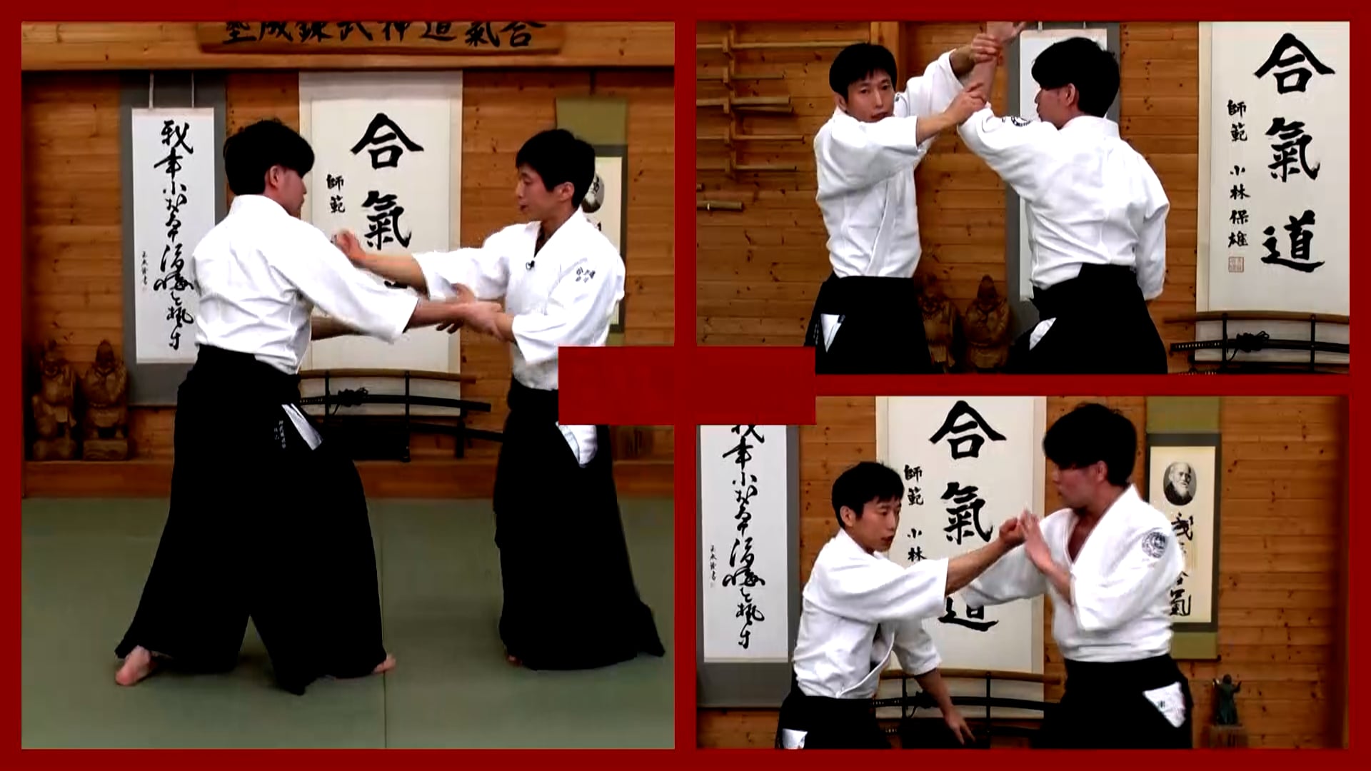 B0104 Ryuji Shirakawa’s Aikido Soft Movement and Kuzushi