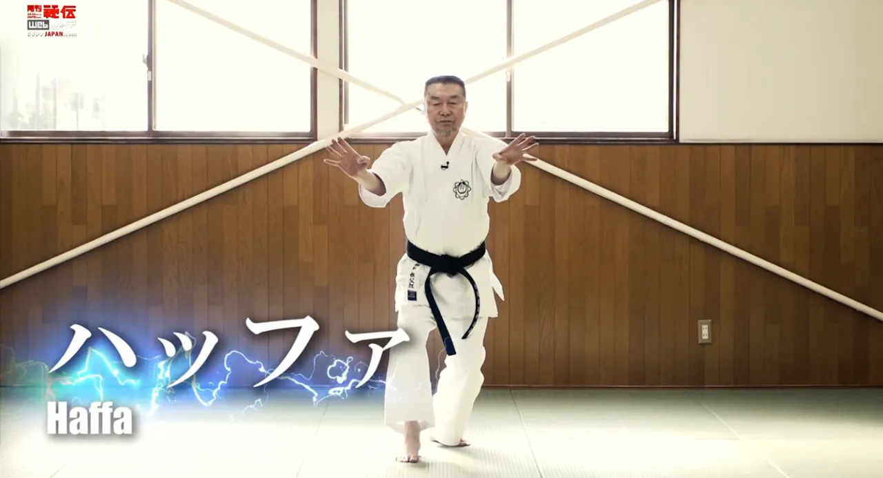 Haku Tsuru Ken Basic