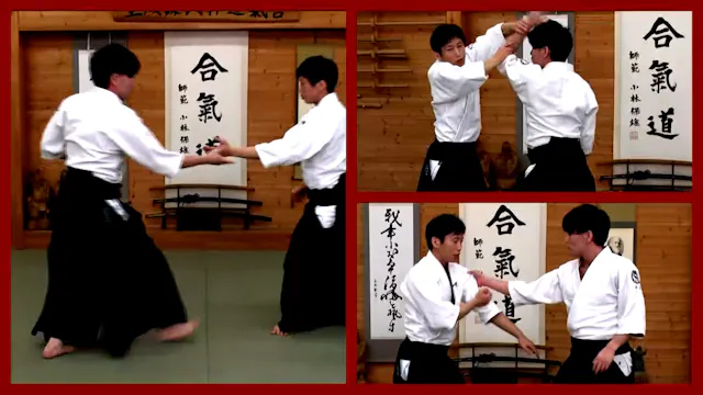 B0105 Aïkido - Mouvement souple et déséquilibre" de Ryuji Shirakawa.