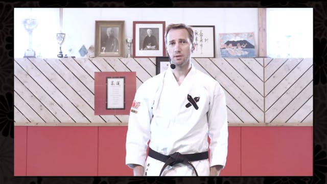 Karate Embusen - Kata - Bunkai - Virtual Embusen VPM-251