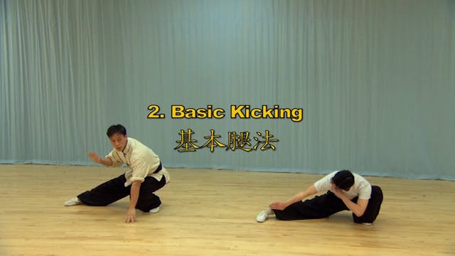 Shaolin Kung Fu Long Fist Int - 45