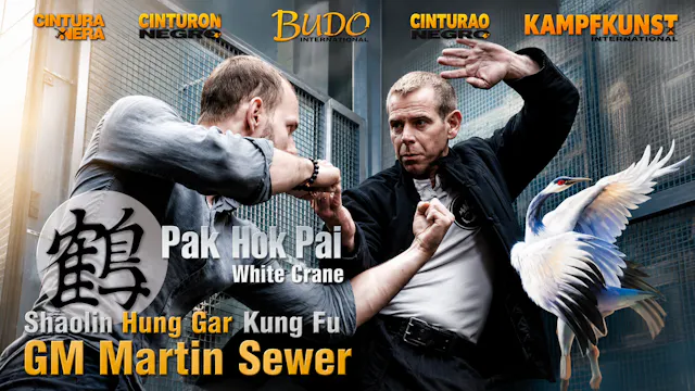 Bak Hok Pai White Crane Kung Fu by Martin Sewer