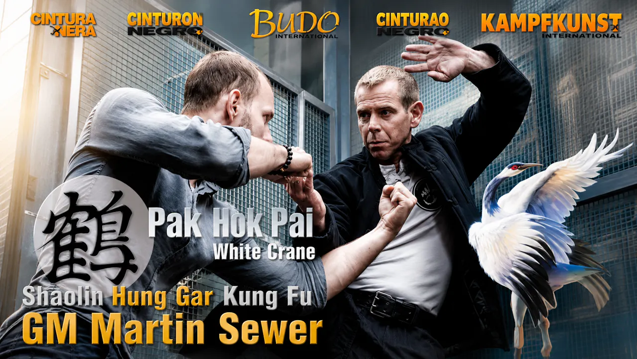 Bak Hok Pai White Crane Kung Fu by Martin Sewer