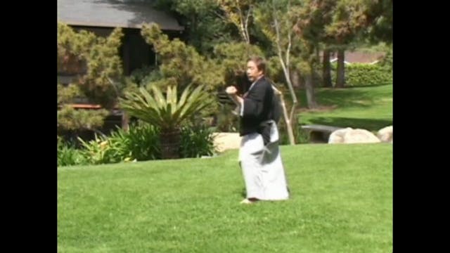 Mastering Karate Te Waza by Hirokazu Kanazawa