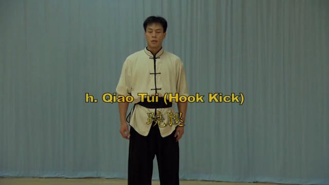 Shaolin Kung Fu Long Fist Int - 12