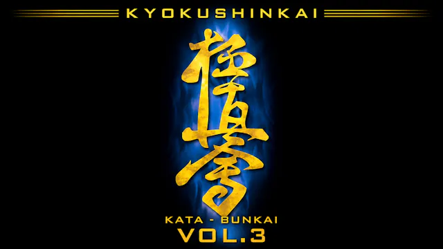 Kyokushinkai Karate Kata & Bunkai Vol 3