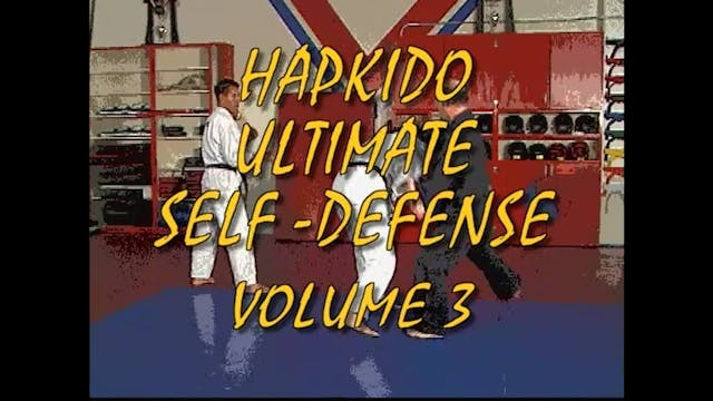 Hapkido 3