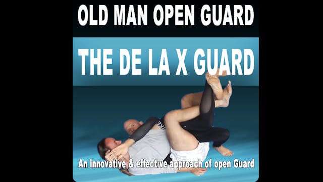 The De la X Guard Series by Bjorn Friedrich