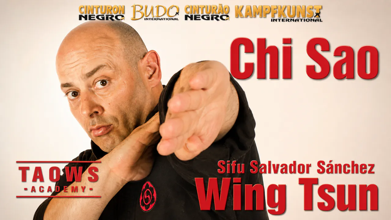 Chi Sao Wing Tsun Academy TAOWS Salvador Sanchez