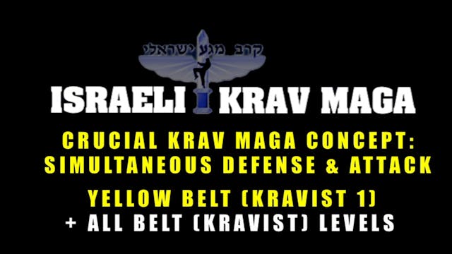 Krav Maga Combatives 1.2
