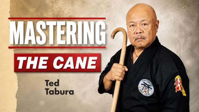 Mastering the Cane by Ted Tabura