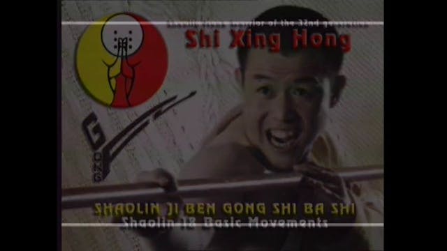 The 18 movements of Shaolin Kung Fu with Shi Xing Hong