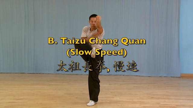 Shaolin Kung Fu Advanced 1.70