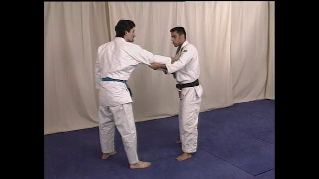 Brazilian Jiu Jitsu Advanced Techniques Vol 2 Submissions Daniel Rego