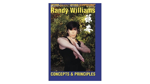Wing Chun Kung Fu Concepts and Principles