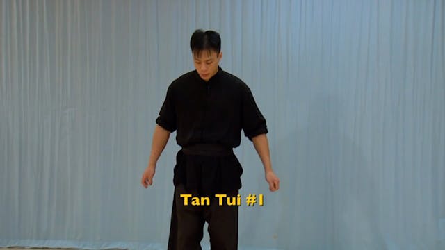 Shaolin Kung Fu Advanced 1.23