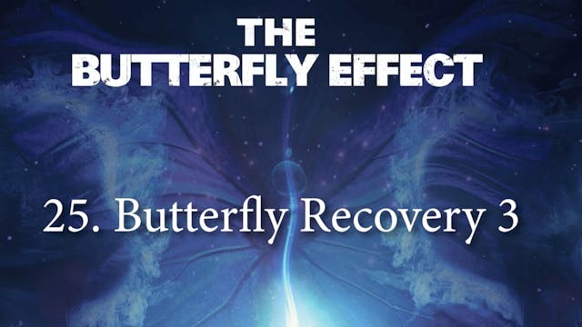 25 Butterfly Recovery 3 - Butterly Effect