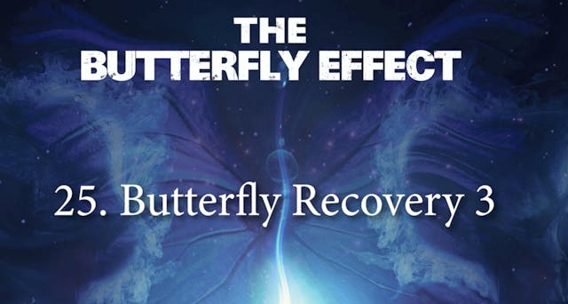 25 JP Butterfly Recovery 3