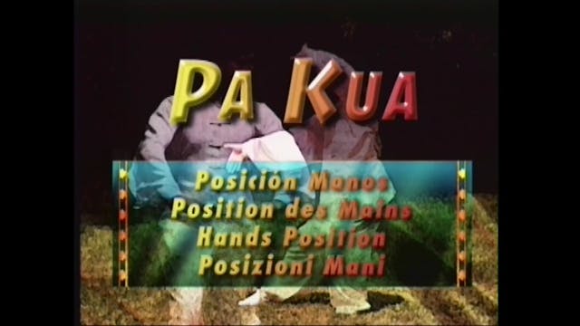 Kung Fu Pa Kua by Paolo Cangelosi