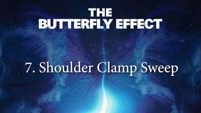 Butterfly Effect 7 Shoulder Clamp Sweep