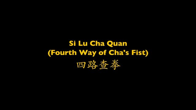 Shaolin Kung Fu Advanced 2 - 44