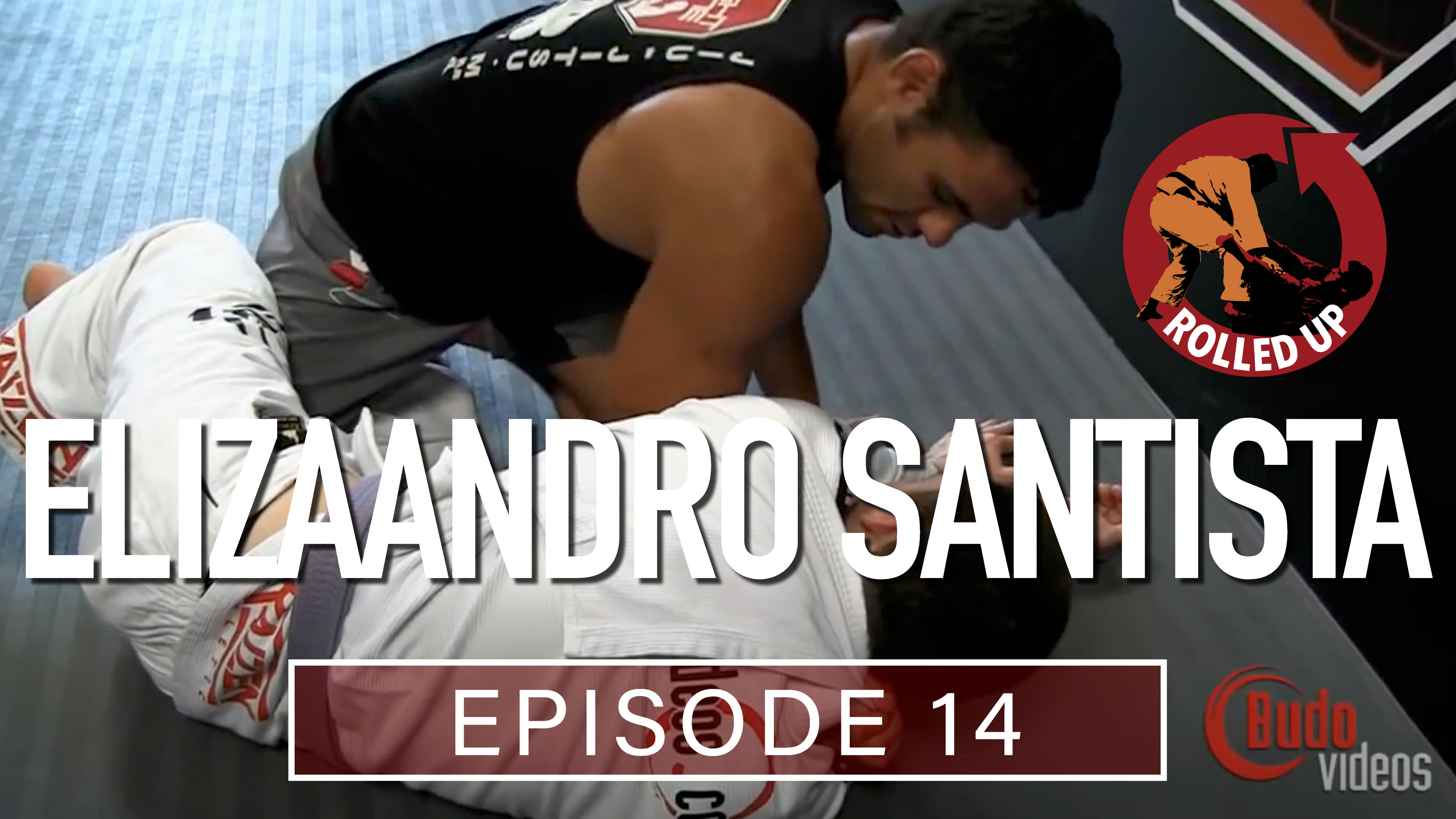 Rolled Up 14 Santista