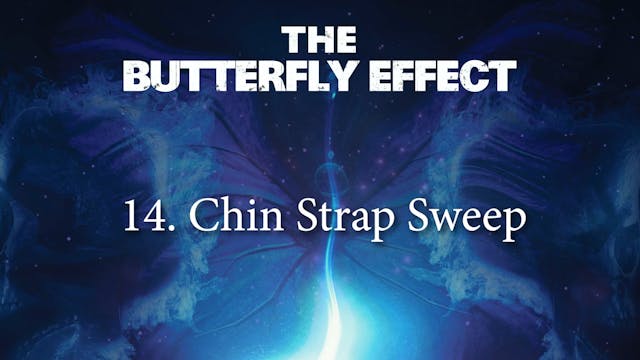 Butterfly Effect 14 Chin Strap Sweep from the Clamp