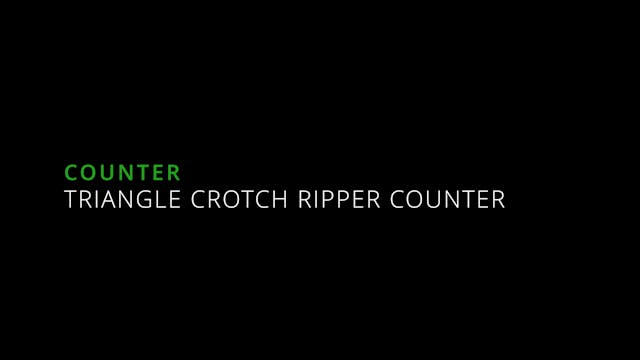 18. Triangle Crotch Ripper Counter - Counterattacks