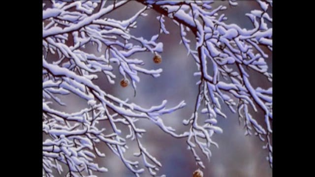 Bugei Shuriken-Jutsu by Jordan Augusto