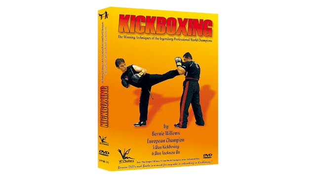 Winning Kickboxing Techniques of World Champions