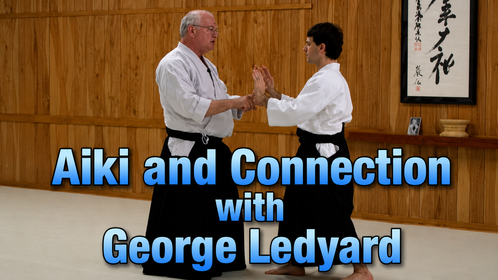 Aiki and Connection with George Ledyard
