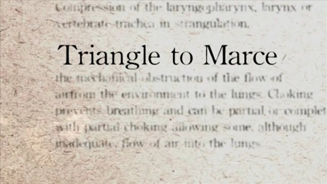 20 Triangle to MarceDarcepedia English Vol 1