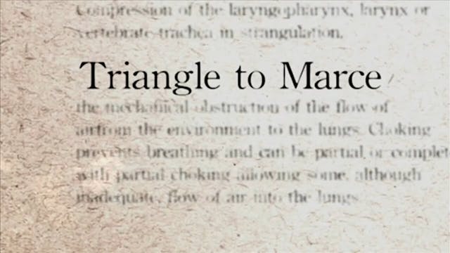 20 Triangle to MarceDarcepedia Englis...