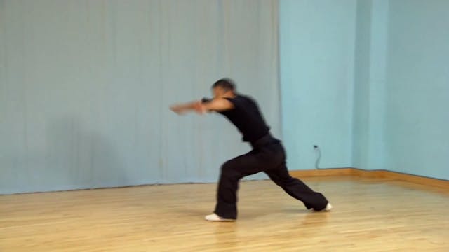 Shaolin Kung Fu Advanced 1.69
