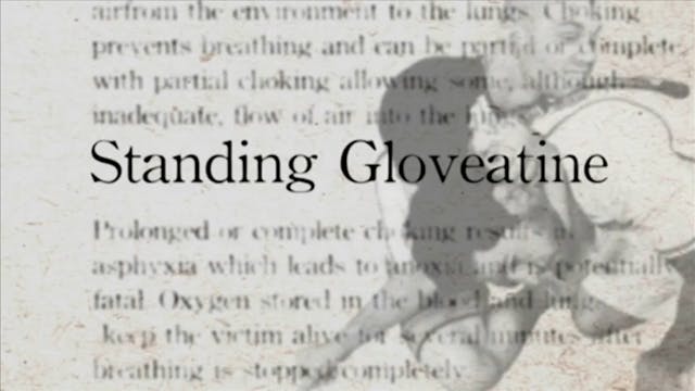 6 Standing Glovetine Darcepdia English Vol 2