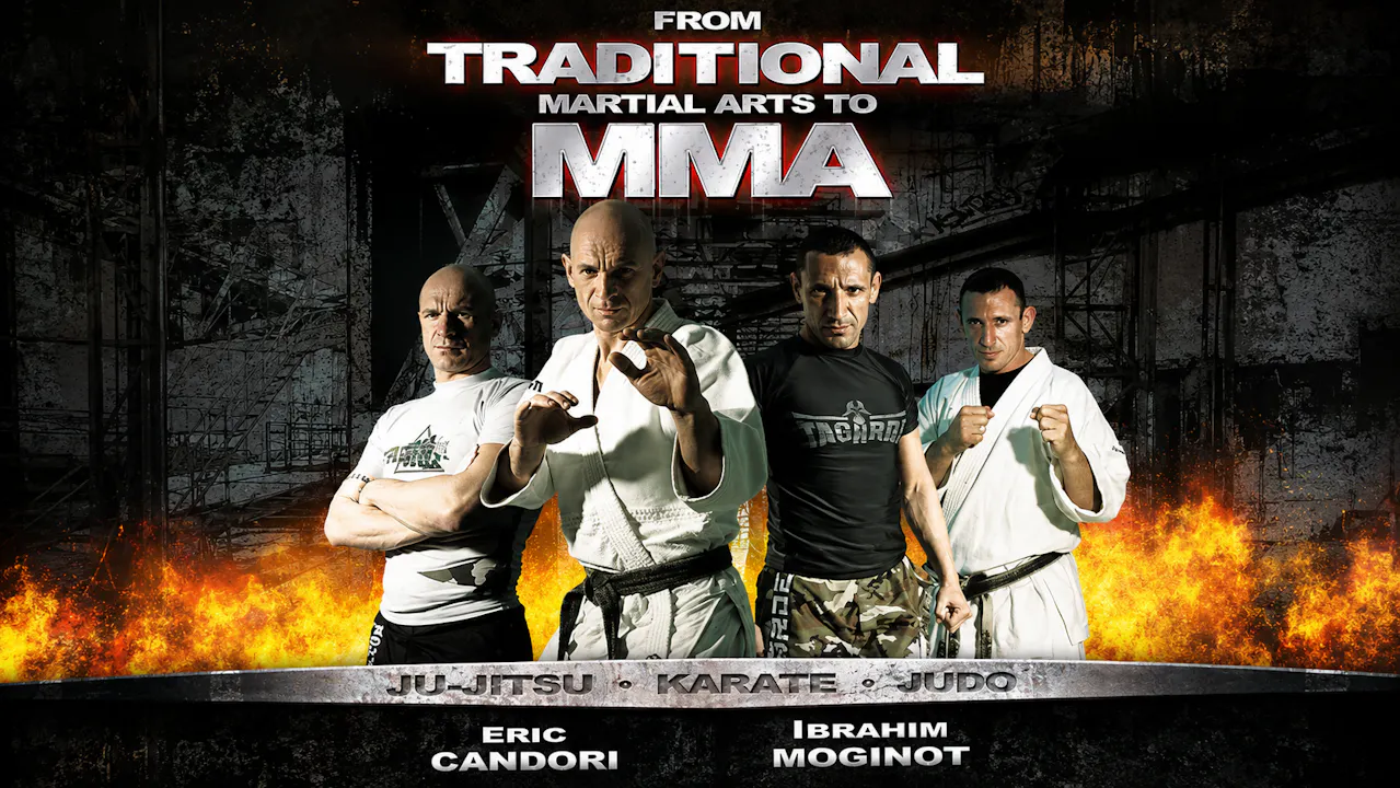 From Traditional Martial Arts to MMA