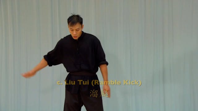 Shaolin Kung Fu Advanced 1.41