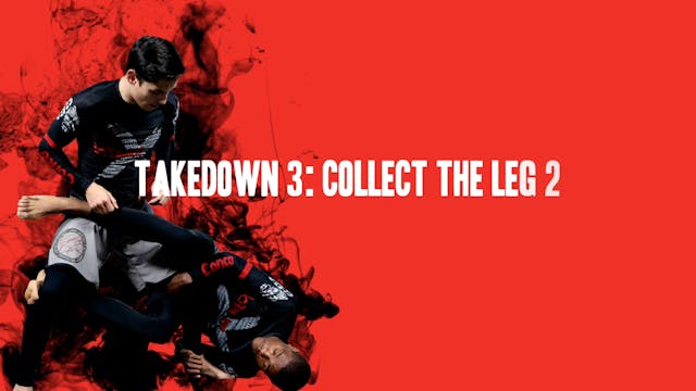 8 - Imanari Series Japanese