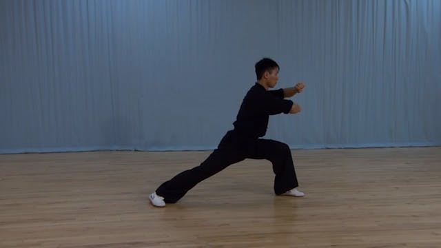 Shaolin Kung Fu Advanced 2 - 79