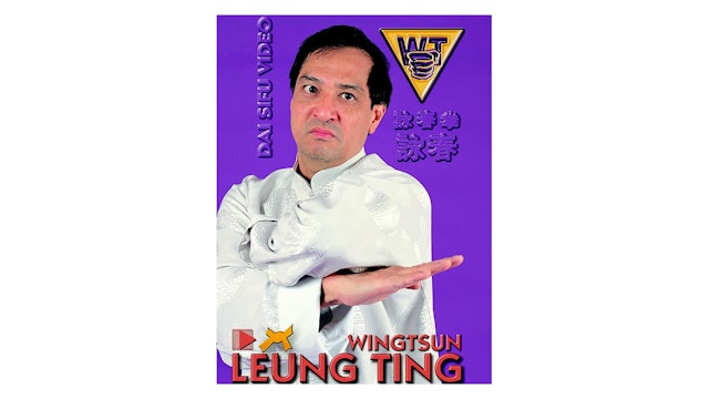 Wing Tsun Right or Wrong? by Leung Ting