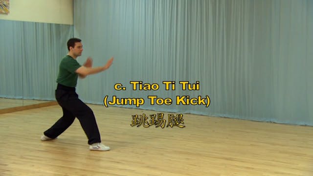 Shaolin Kung Fu Long Fist Int - 47