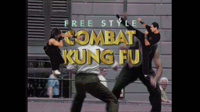 Combat Kung Fu Free Style by Paolo Cangelosi