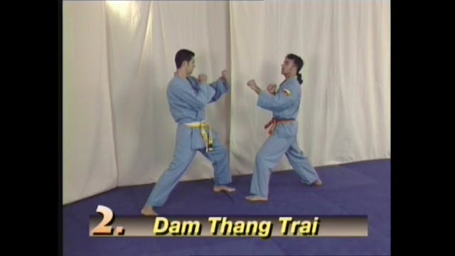 Vovinam Viet Vo Dao Vol 1 with Patrick Levet