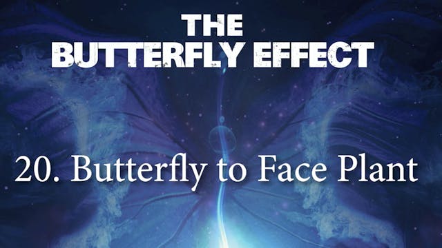 20 Butterfly to Faceplant - Butterly Effect