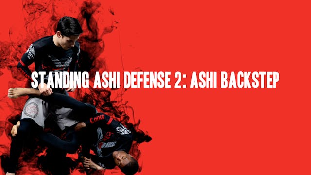 15 - Imanari Series Japanese