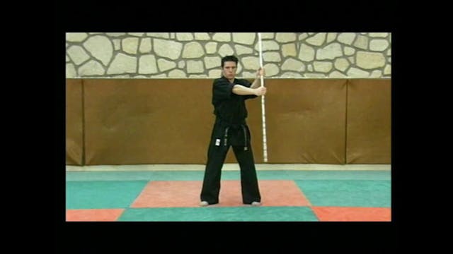 Learn the Artistic Handling of Weapons DVD74
