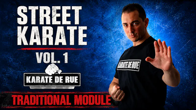 Street Karate Vol 1 Traditional Module