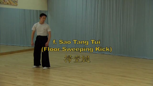 Shaolin Kung Fu Long Fist Int - 70