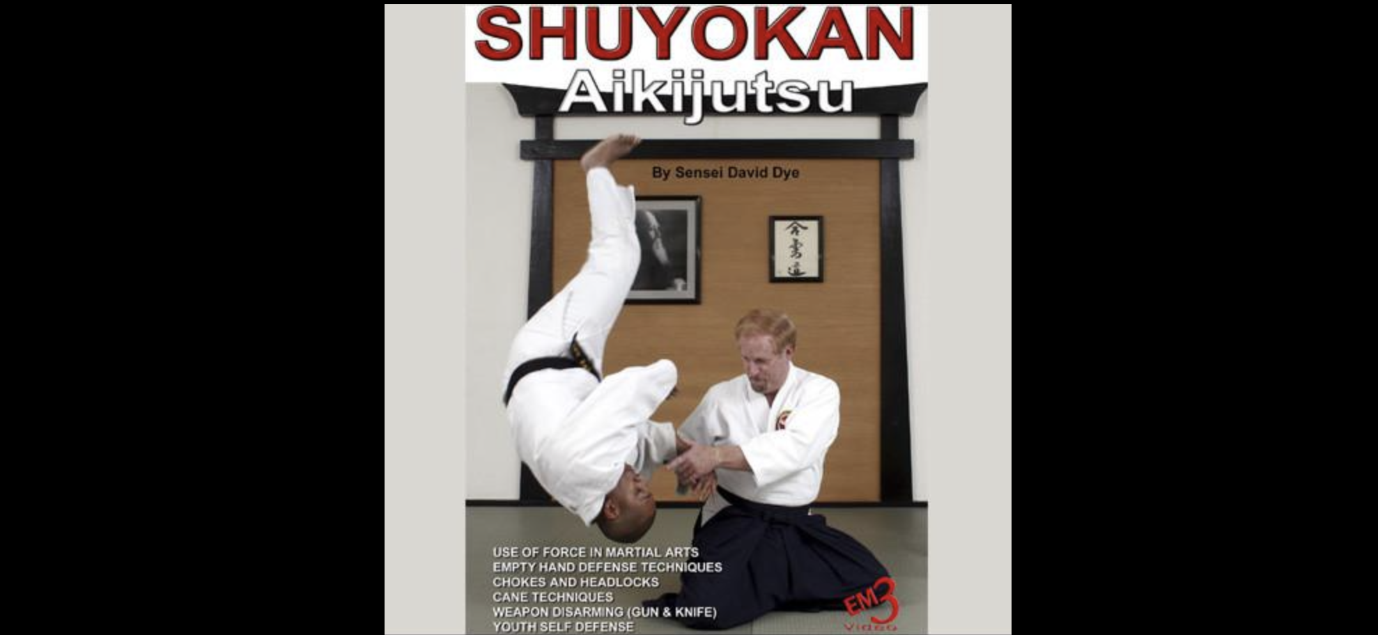 Shuyokan Aikijutsu by David Dye