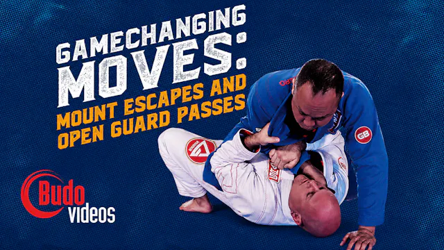 Gamechanging BJJ Moves by Brent Littell